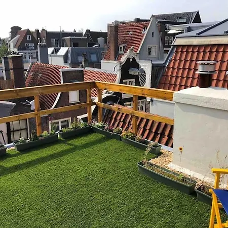 Centre - Rooftop Terrace & Unique Colorful